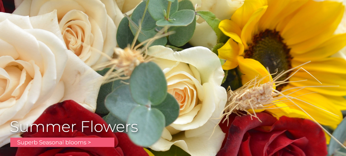 Home Me Not Romsey Woodlands Hampshire