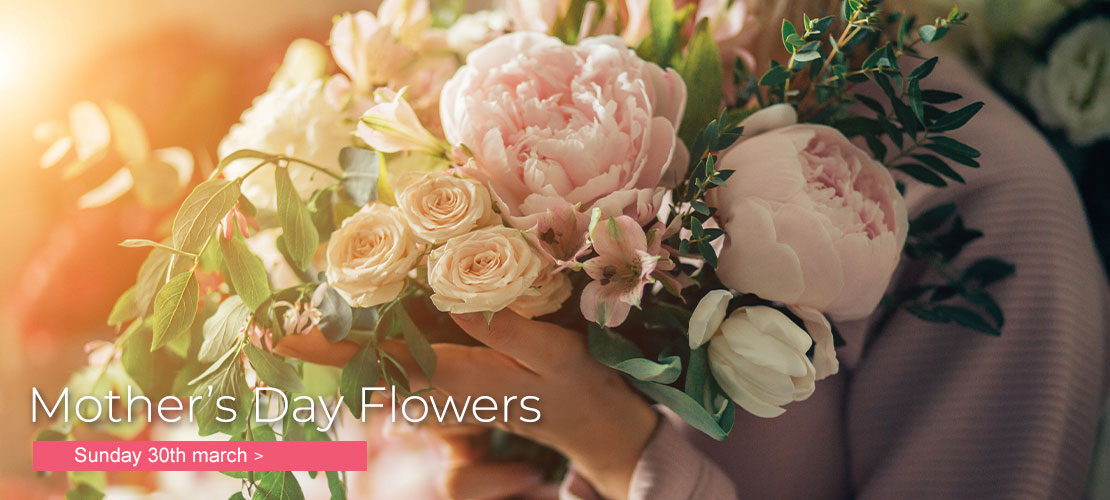 Home Me Not Romsey Woodlands Hampshire